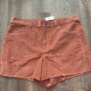 Aerie Brown Jean Shorts High-Waisted Frayed Hem